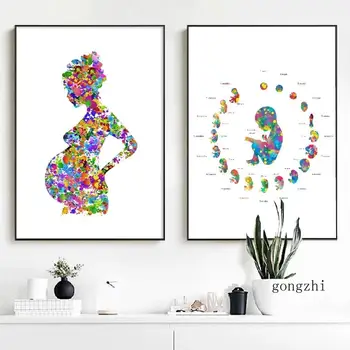 Embrya Tehotná Žena Akvarel Plagát Mama Dieťa Plátno na Maľovanie a Vytlačí Wall Art Obraz Dekor Obstetrician Darček
